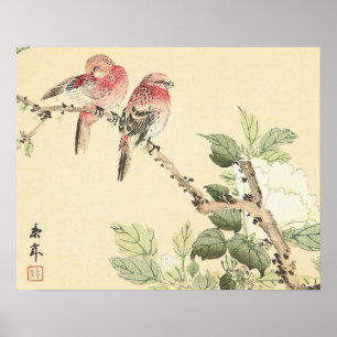 Poster Robins et Peony Japon, flèches vintages