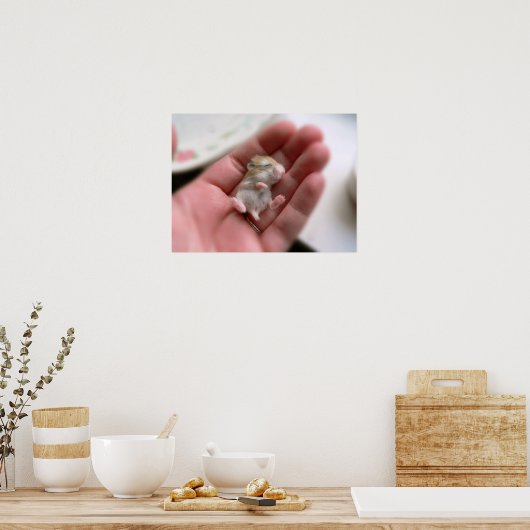 Poster Robo Pup (Cuisine)