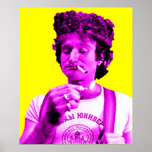 Poster Robyn Williams Pop Art