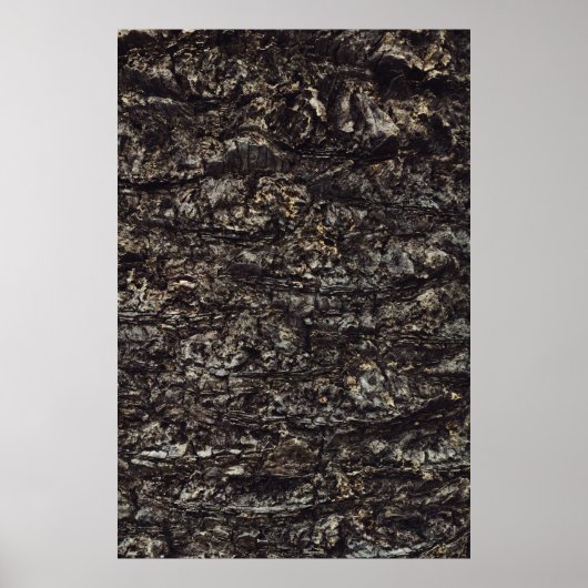 Poster Roche Brown (Devant)