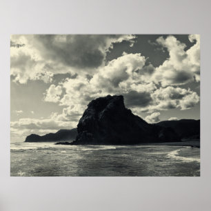 Poster roche de lion au piha, redux
