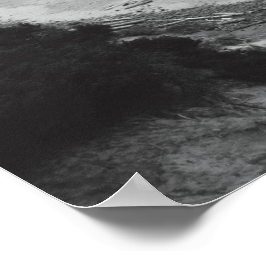 Poster Roche de phoque - Duotone (Coin)