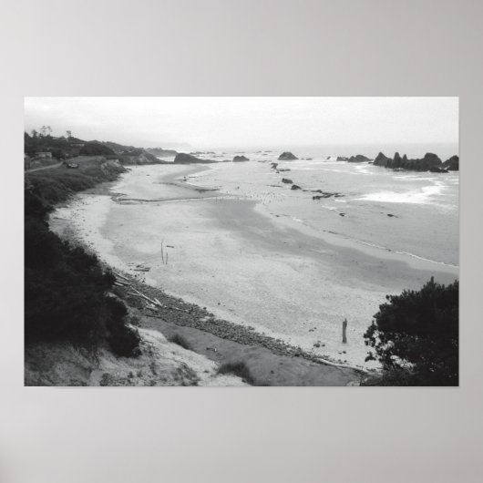 Poster Roche de phoque - Duotone (Devant)