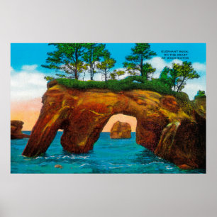 Poster Roche d'éléphant sur la côte de Washington