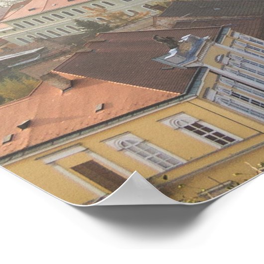 Poster Roche le monde ! (Coin)