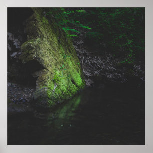 Poster Roche mousse verte avec réflexion dans l'eau