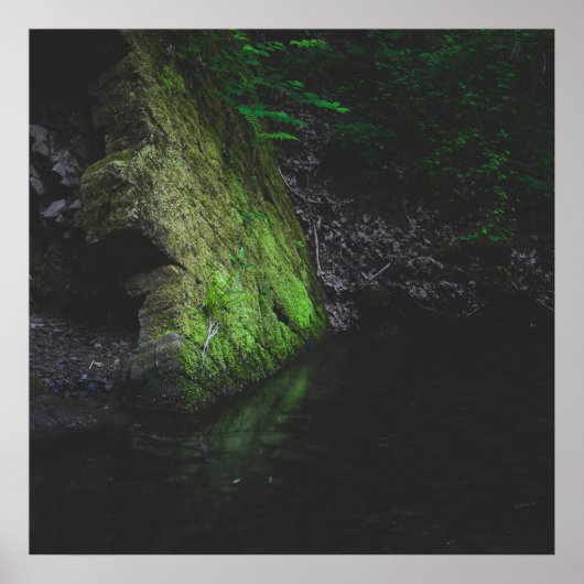Poster Roche mousse verte avec réflexion dans l'eau (Devant)
