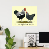 Poster Roche Plymouth : Paire Pencilée Argent (Bureau à domicile)