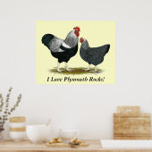 Poster Roche Plymouth : Paire Pencilée Argent (Cuisine)