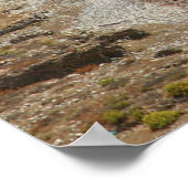 Poster Rocher D'Aphrodite, Chypre (Coin)