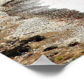 Poster Rocher d'Aphrodite, Chypre, (Coin)