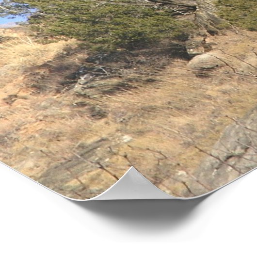 Poster Rocher du marteau (Coin)