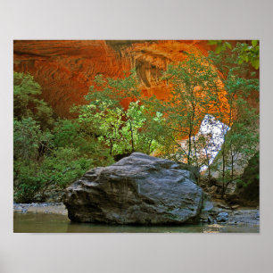 Poster Rocher du parc national Zion dans la rivière Virgi