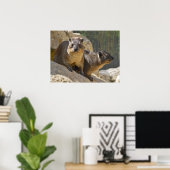 Poster Rocher hyrax sur pierre (Bureau à domicile)