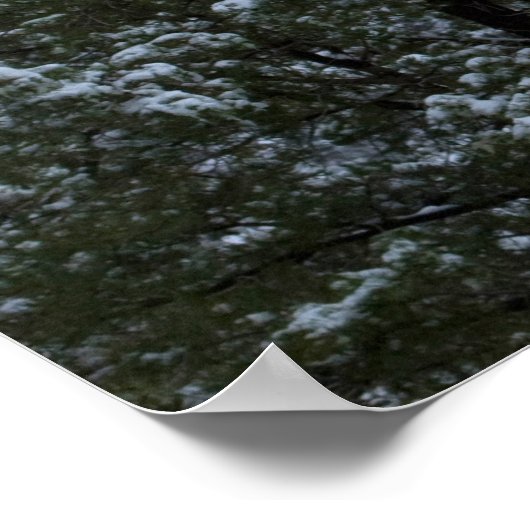 Poster Rocher Snoopy 2854 (Coin)