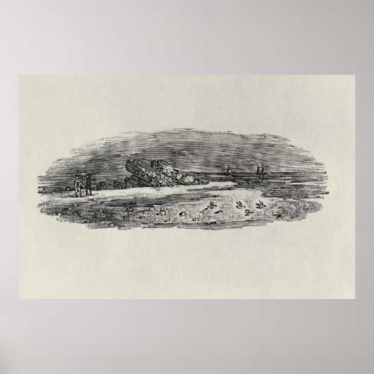 Poster Rochers avec expédition côtière, (Devant)