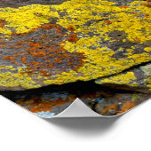 Poster Rochers couverts de lichen (Coin)