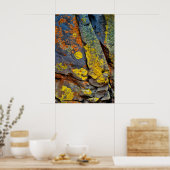 Poster Rochers couverts de lichen (Cuisine)