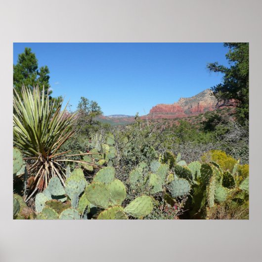 Poster Rochers rouges et cactus I (Devant)
