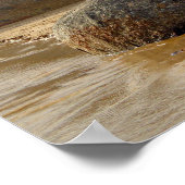 Poster Roches équilibrées et bois flotté sur Australian B (Coin)