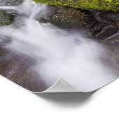 Poster Roches recouvertes de mousse avec eau floue et fou (Coin)