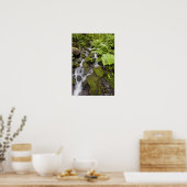 Poster Roches recouvertes de mousse avec eau floue et fou (Cuisine)