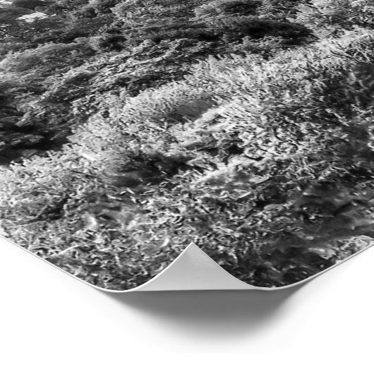 Poster Rochester New York (Coin)