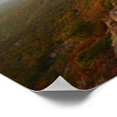 Poster Rocheuses, Fleurs rouges, Parc national Acadia (Coin)
