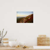 Poster Rocheuses, Fleurs rouges, Parc national Acadia (Cuisine)