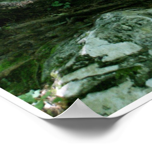 Poster Rock and Tree by Johannes Stötter (Coin)