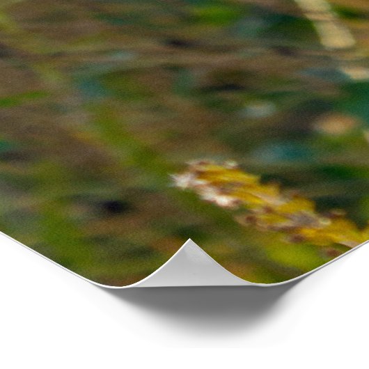 Poster Rock Cairn Zen Wall (Coin)