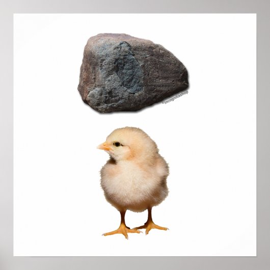 Poster Rock + Chick (Devant)