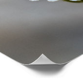Poster Rock Daisy (Coin)