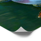 Poster Rock Dove (Coin)