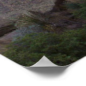 Poster Rock équilibré - Big Bend, Texas (Coin)