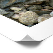 Poster Rock Heart (Coin)