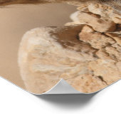 Poster Rock Hyrax (Coin)