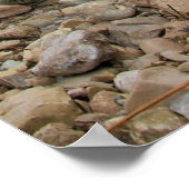 Poster Rock Pillar Monument - Île Mackinac, Michigan (Coin)