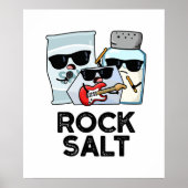 Poster Rock Salt Funny Condiment Music Pun (Devant)