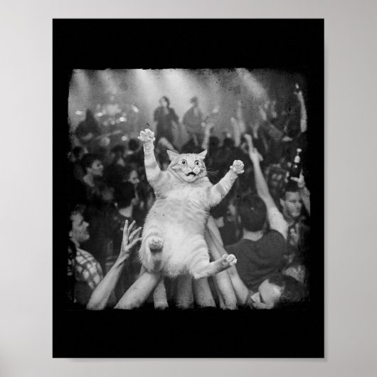 Poster Rock Show Cat Meme Funny Humor Tabby Cat Crowd Sur (Devant)