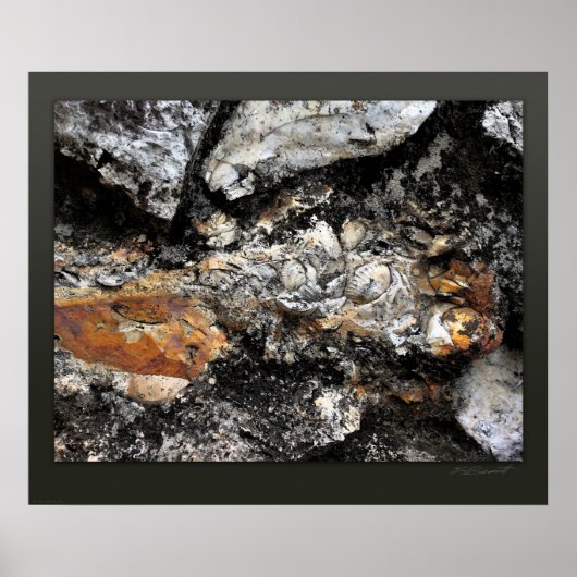 Poster Rockface 118 Art Print -24x20 -autres tailles égal (Devant)