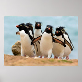 Poster Rockhopper Penguins van 8.99
