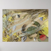 Poster Rockpool (Devant)