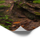 Poster Rocks National Lakeshore, Sable Falls (Coin)