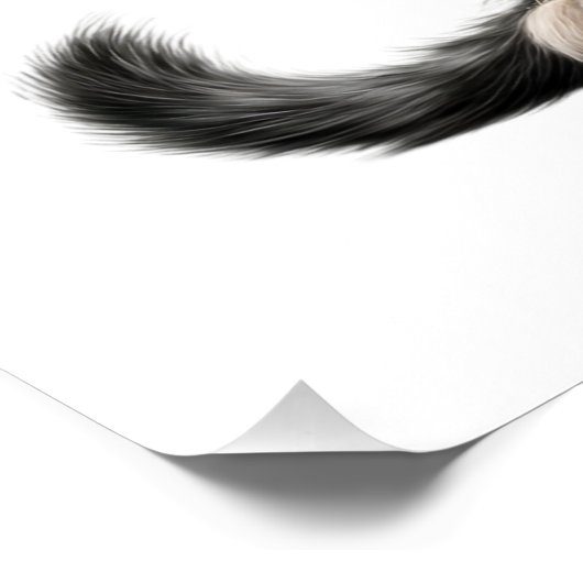 POSTER ROCKSTAR  (Coin)