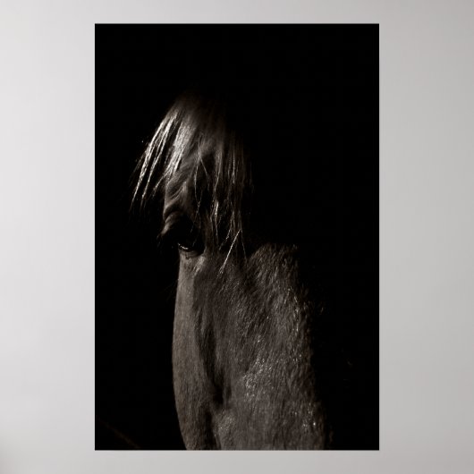 Poster Rocky (Devant)