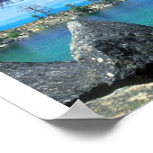 Poster Rocky Cove (Coin)