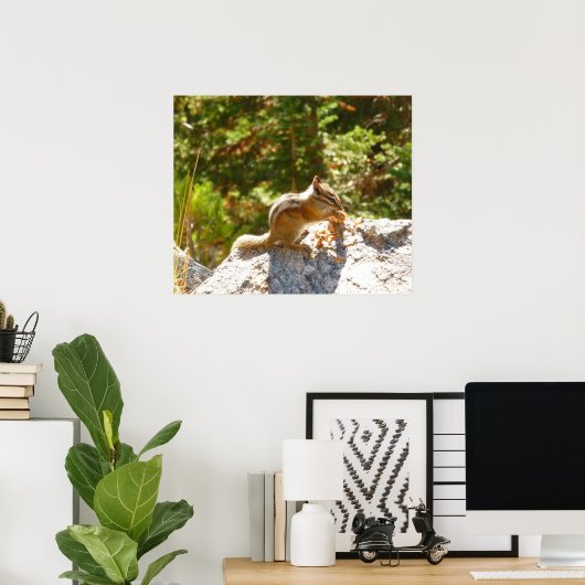 Poster Rocky Mountain Chipmunk (Bureau à domicile)