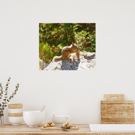 Poster Rocky Mountain Chipmunk (Cuisine)
