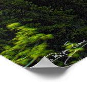 Poster Rocky Mountain Magic Wilderness & Wildlife Art (Coin)